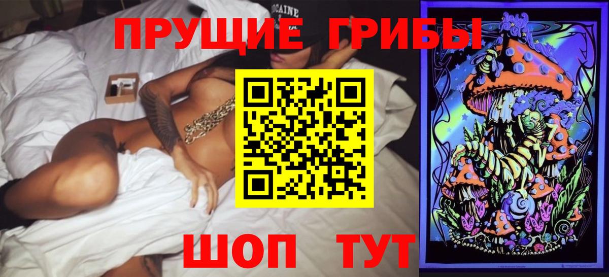 Кумертау  Галлюциногенные грибы Cubensis  Вход с VPN  Псилоцибиновые грибы Cubensis 